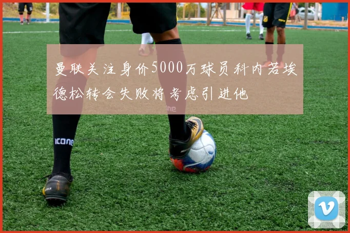 曼联关注身价5000万球员科内若埃德松转会失败将考虑引进他