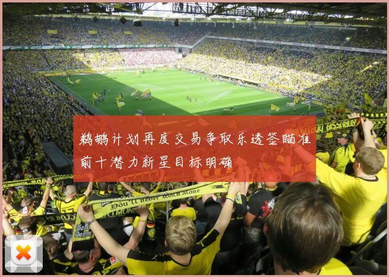 鹈鹕计划再度交易争取乐透签瞄准前十潜力新星目标明确